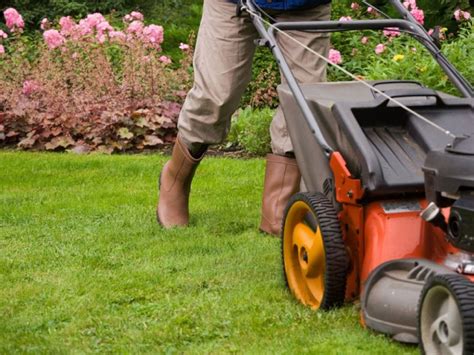 Lawn Mowing & Trimming Near Me .